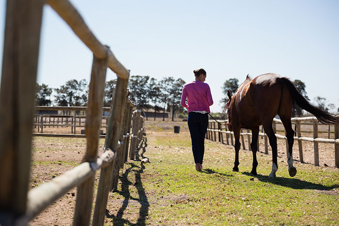 17-year-old girl walking a horse in a fenced rural area, reflecting life changes after parents’ long world trip return. 17-year-old girl walking a horse in a fenced rural area, reflecting life changes after parents’ long world trip return.