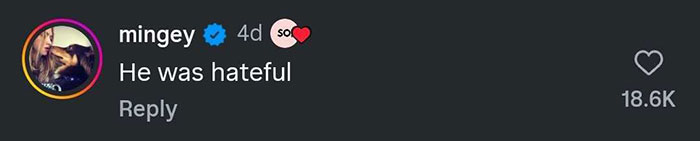 Screenshot of a social media comment where Amanda Seyfried calls Charlie Kirk hateful, sparking aggressive backlash. Screenshot of a social media comment where Amanda Seyfried calls Charlie Kirk hateful, sparking aggressive backlash.