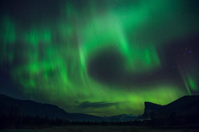 Vivid wildlife and nature shot of green northern lights dancing over dark mountains under a starry night sky.