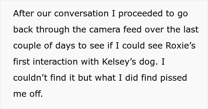Text excerpt about reviewing camera footage after a friend agrees to house sit but mistreats dogs by locking some up. Text excerpt about reviewing camera footage after a friend agrees to house sit but mistreats dogs by locking some up.