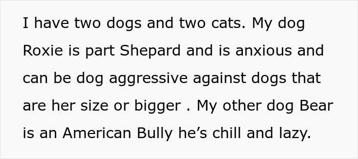 Text on a white background describing two dogs: one anxious and dog aggressive, the other chill and lazy, as part of a house sit story. Text on a white background describing two dogs: one anxious and dog aggressive, the other chill and lazy, as part of a house sit story.