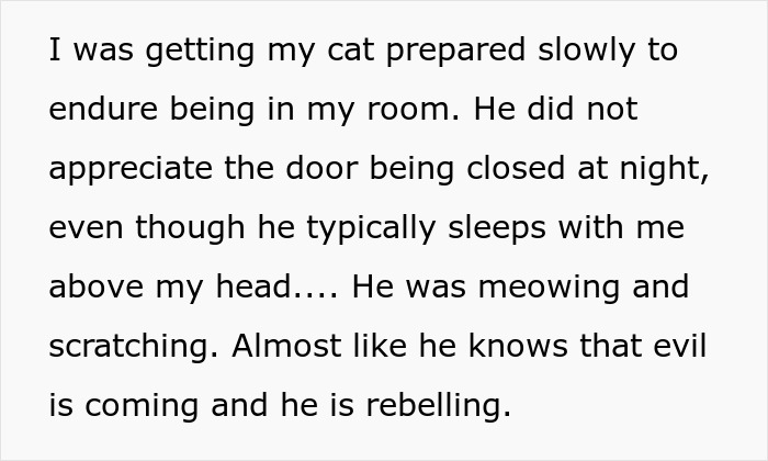 Text describing a cat reacting to changes as parents try to get rid of her cat while pregnant sister visits. Text describing a cat reacting to changes as parents try to get rid of her cat while pregnant sister visits.
