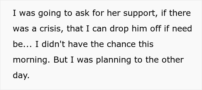 Text excerpt from a story about parents trying to get rid of daughter’s cat while pregnant sister visits, causing anger. Text excerpt from a story about parents trying to get rid of daughter’s cat while pregnant sister visits, causing anger.