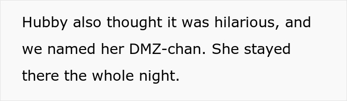 Text excerpt from a story about a MIL suspecting a throuple involving her son, his wife, and an anime pillow. Text excerpt from a story about a MIL suspecting a throuple involving her son, his wife, and an anime pillow.