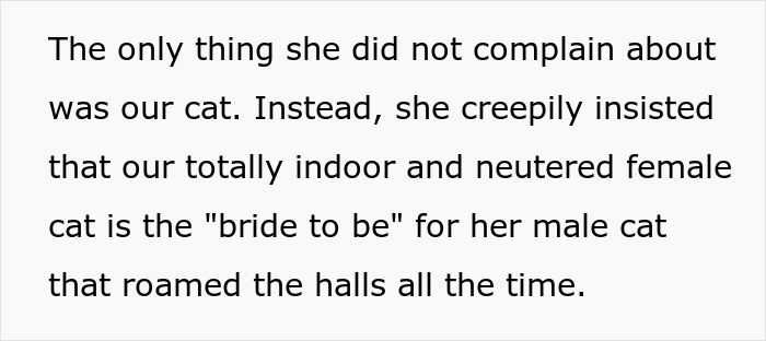 Text describing a nosy neighbor trauma involving obsessive behavior over indoor and neutered cats' relationship. Text describing a nosy neighbor trauma involving obsessive behavior over indoor and neutered cats' relationship.