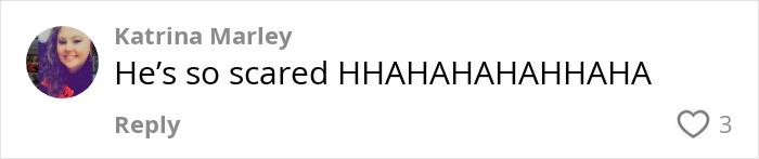 Comment on social media post reacting with laughter to a viral video of a Black man confronting a white man over a racial slur in a library. Comment on social media post reacting with laughter to a viral video of a Black man confronting a white man over a racial slur in a library.