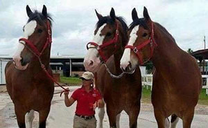 No sabes lo enormes que son algunas cosas hasta que se comparan con el tamaño humano: 36 fotos