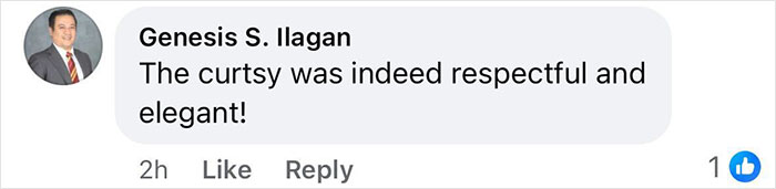 Comment saying the curtsy was respectful and elegant in a social media post about Kate Middleton and King Charles. Comment saying the curtsy was respectful and elegant in a social media post about Kate Middleton and King Charles.