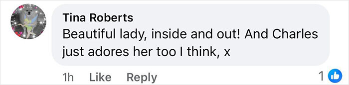 Kate Middleton kindly says goodbye to King Charles with a gentle kiss on the cheek after the royal funeral. Kate Middleton kindly says goodbye to King Charles with a gentle kiss on the cheek after the royal funeral.