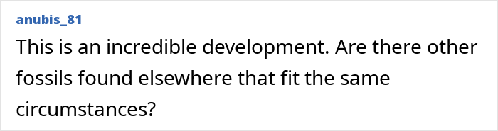 Comment by anubis_81 discussing the development and asking if other fossils match the Petralona Man skull circumstances. Comment by anubis_81 discussing the development and asking if other fossils match the Petralona Man skull circumstances.