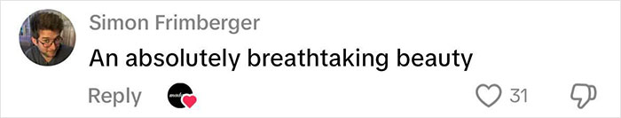 Comment by Simon Frimberger saying an absolutely breathtaking beauty with 31 likes on a social media post. Comment by Simon Frimberger saying an absolutely breathtaking beauty with 31 likes on a social media post.