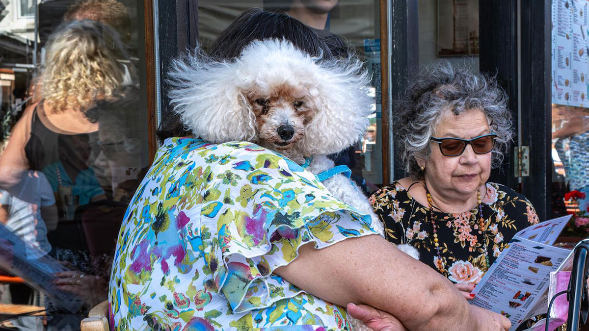 Person holding a fluffy white dog while another woman with glasses reads a menu, capturing people and life around the world.