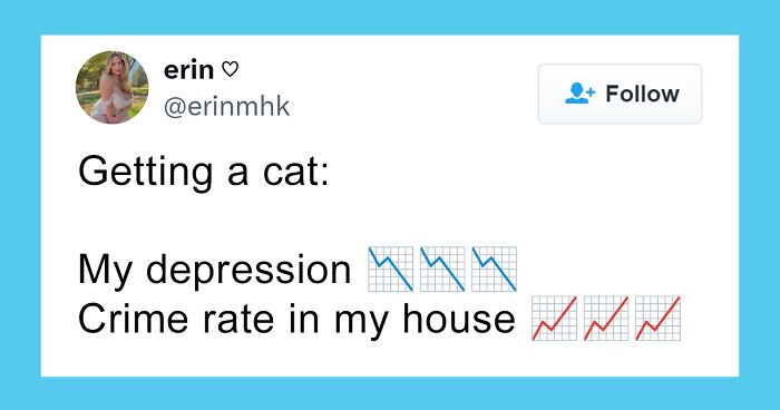 Tweet showing text about getting a cat lowering depression and raising crime rate, related to cats with jobs theme.