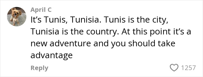Comment from April C explaining the difference between Tunis city and Tunisia country in a confused tourists flight mix-up. Comment from April C explaining the difference between Tunis city and Tunisia country in a confused tourists flight mix-up.