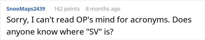 Screenshot of a Reddit comment questioning the meaning of acronym SV in a discussion about an art class memory mix-up. Screenshot of a Reddit comment questioning the meaning of acronym SV in a discussion about an art class memory mix-up.