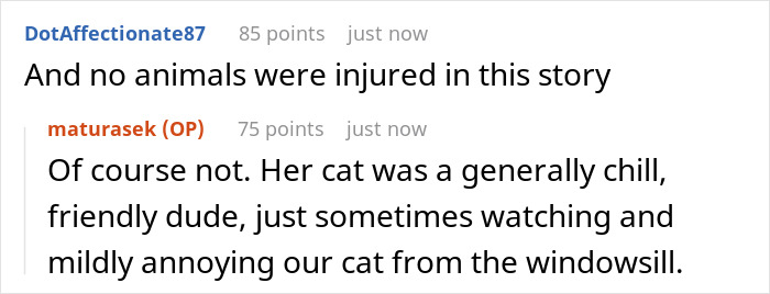 Screenshot of a Reddit conversation about a cat calmly observing and mildly annoying another cat from the windowsill, reflecting nosy neighbor trauma. Screenshot of a Reddit conversation about a cat calmly observing and mildly annoying another cat from the windowsill, reflecting nosy neighbor trauma.