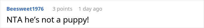Screenshot of an online comment reading NTA he’s not a puppy about a mom giving up her baby and wanting it back years later. Screenshot of an online comment reading NTA he’s not a puppy about a mom giving up her baby and wanting it back years later.
