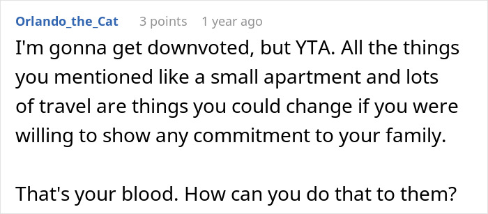 Screenshot of an online comment discussing family commitment in response to a woman whose life changes after her late sister’s wish. Screenshot of an online comment discussing family commitment in response to a woman whose life changes after her late sister’s wish.
