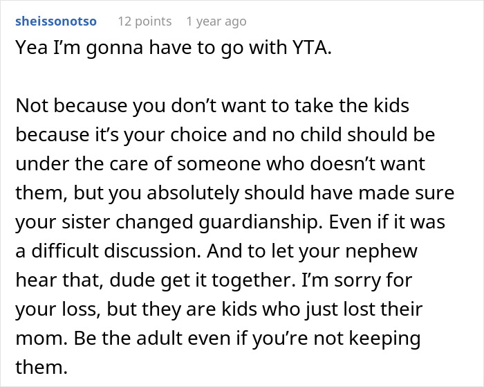 Screenshot of a Reddit comment discussing a woman’s life turned upside down after her late sister’s dying wish about not wanting kids. Screenshot of a Reddit comment discussing a woman’s life turned upside down after her late sister’s dying wish about not wanting kids.