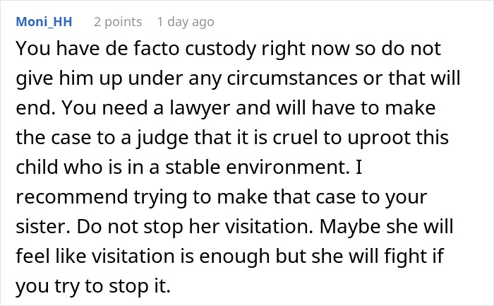 Text comment discussing custody rights and legal advice about a mom wanting her baby back after giving it up. Text comment discussing custody rights and legal advice about a mom wanting her baby back after giving it up.