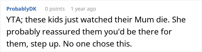 Screenshot of an online comment discussing a woman’s life turning upside down after her late sister’s dying wish about children. Screenshot of an online comment discussing a woman’s life turning upside down after her late sister’s dying wish about children.