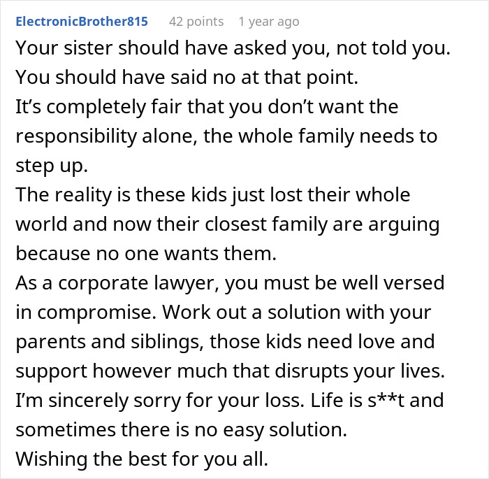 Alt text: A heartfelt Reddit comment discussing responsibility and family challenges after late sister’s dying wish about kids. Alt text: A heartfelt Reddit comment discussing responsibility and family challenges after late sister’s dying wish about kids.