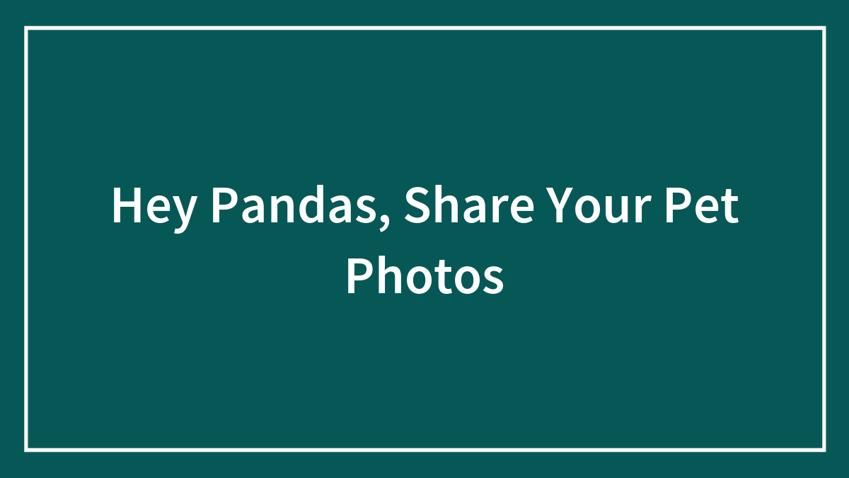 Call to action for hey pandas encouraging people to share their pet photos on a green background with a white border.