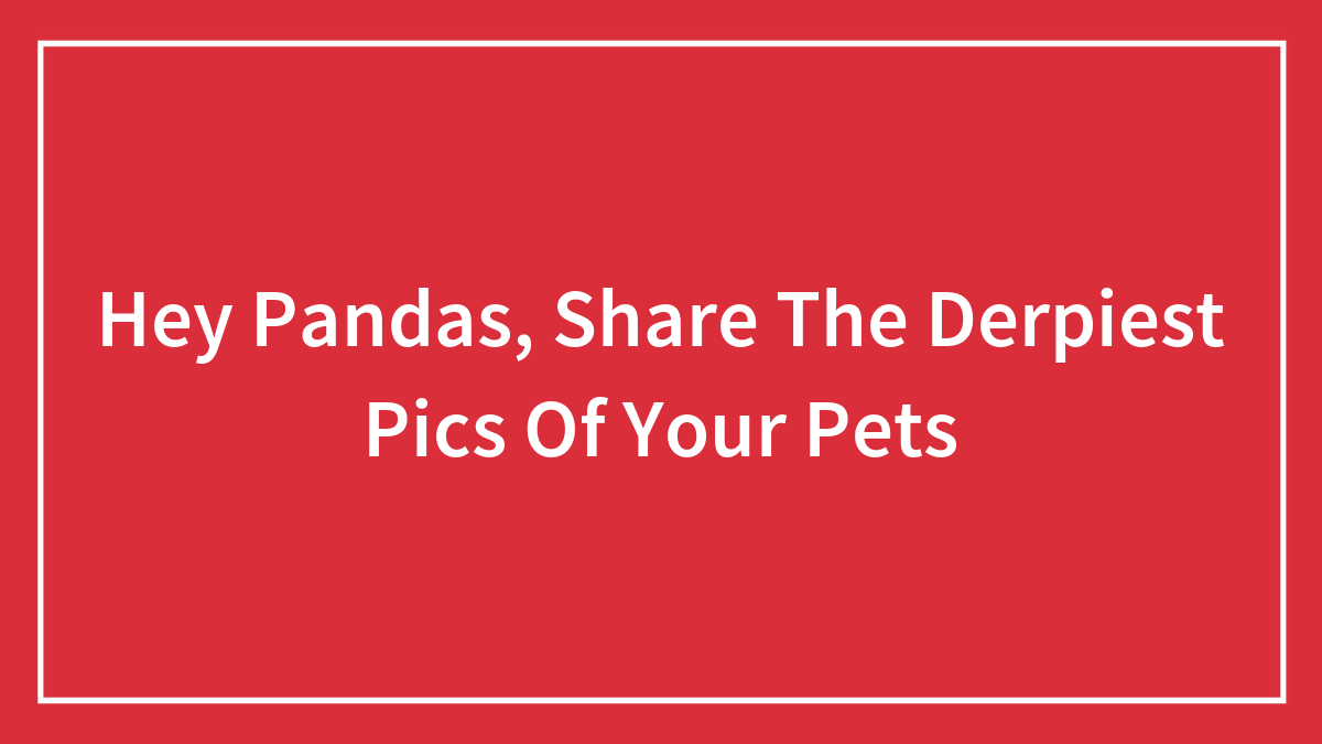 Red background with bold white text inviting to share the derpiest pics of pets for fun and engagement.