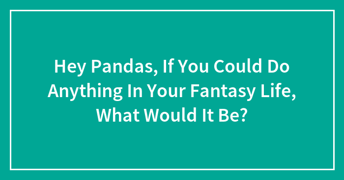 Hey Pandas, If You Could Do Anything In Your Fantasy Life, What Would It Be? (Closed)