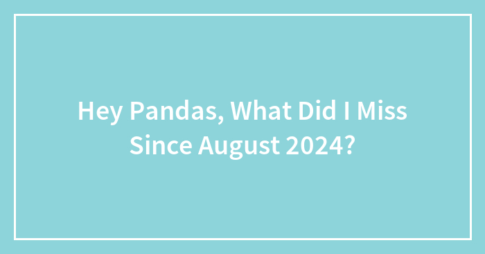Hey Pandas, What Did I Miss Since August 2024?