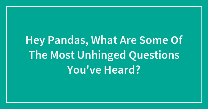 Hey Pandas, What Are Some Of The Most Unhinged Questions You’ve Heard?