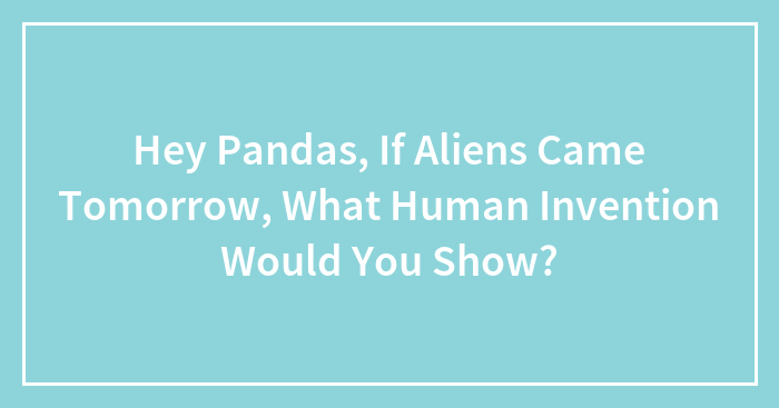 Hey Pandas, If Aliens Came Tomorrow, What Human Invention Would You Show? (Closed)