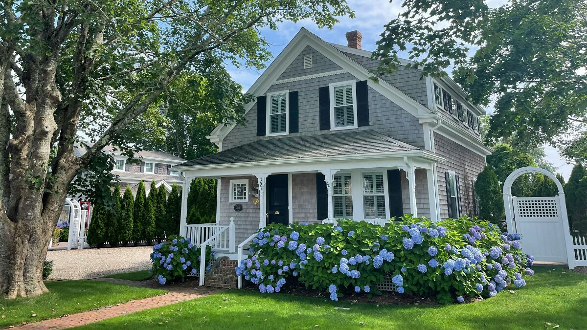Gray house with white trim surrounded by blue hydrangea bushes in a viral ongoing plant feud with the former owner
