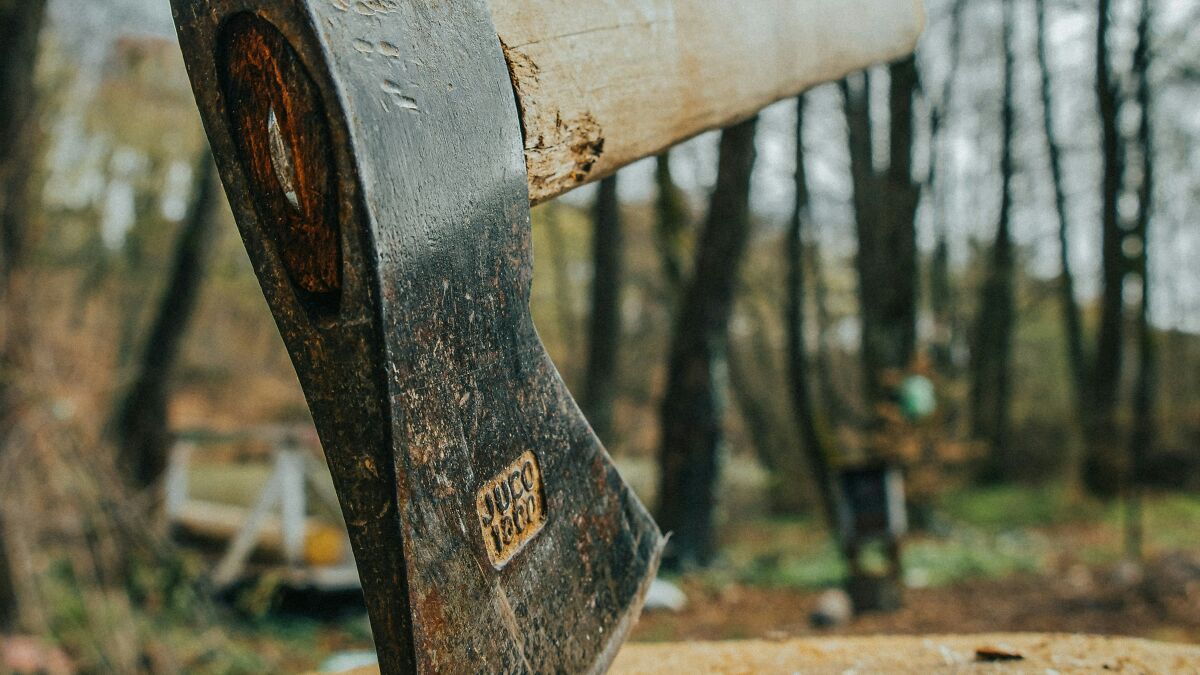 Close-up of a weathered hatchet head with a wooden handle resting outdoors among blurred trees.