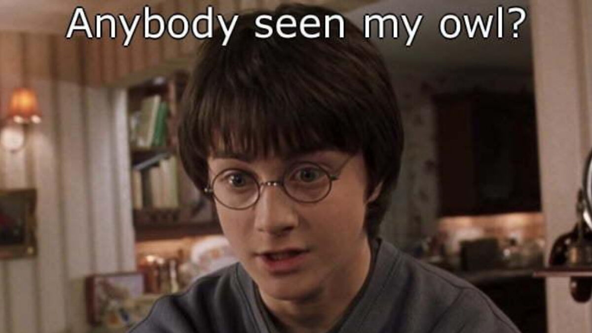 Young man with glasses in a home setting asking about his owl in a humorous Harry Potter meme format.