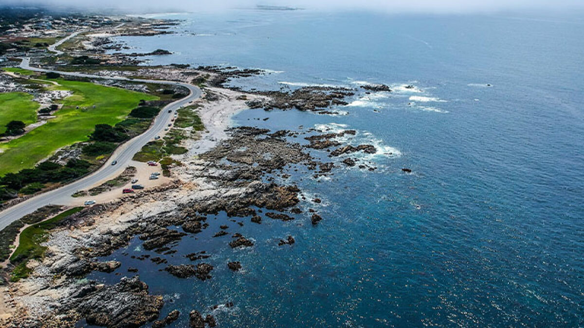 Aerial view of rocky California coastline and ocean where $20K reward offered after sea lion incident.