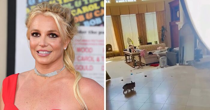 Britney Spears Shuts Down Critics With Justin Bieber Post After Dog Poop Incident Goes Viral