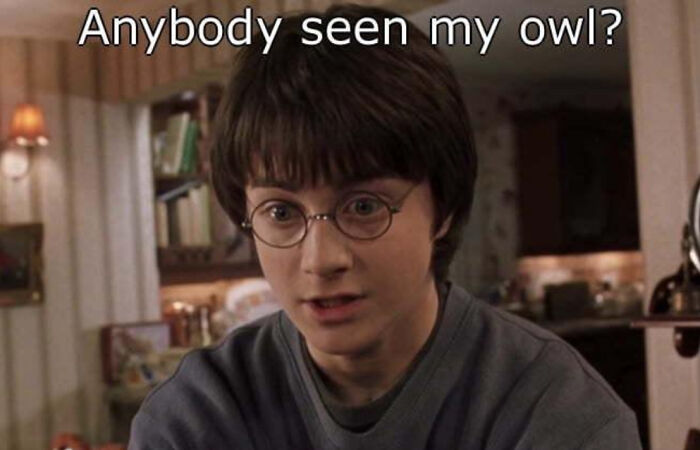 You Don’t Have To Be A Wizard To Laugh At These 35 Harry Potter Memes