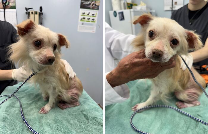 King’s Story: A Lifetime Of Neglect, Now A Fight For Healing