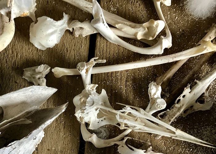 40 Creepiest Things People Have Seen While Alone in Nature