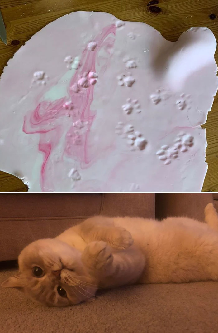 Pink clay sheet with cute cat paw prints next to a relaxed cream-colored cat lying on carpet indoors.