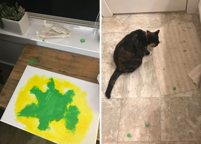 Cat paw prints in green paint on floor and rug next to a black and brown cat in a home setting.