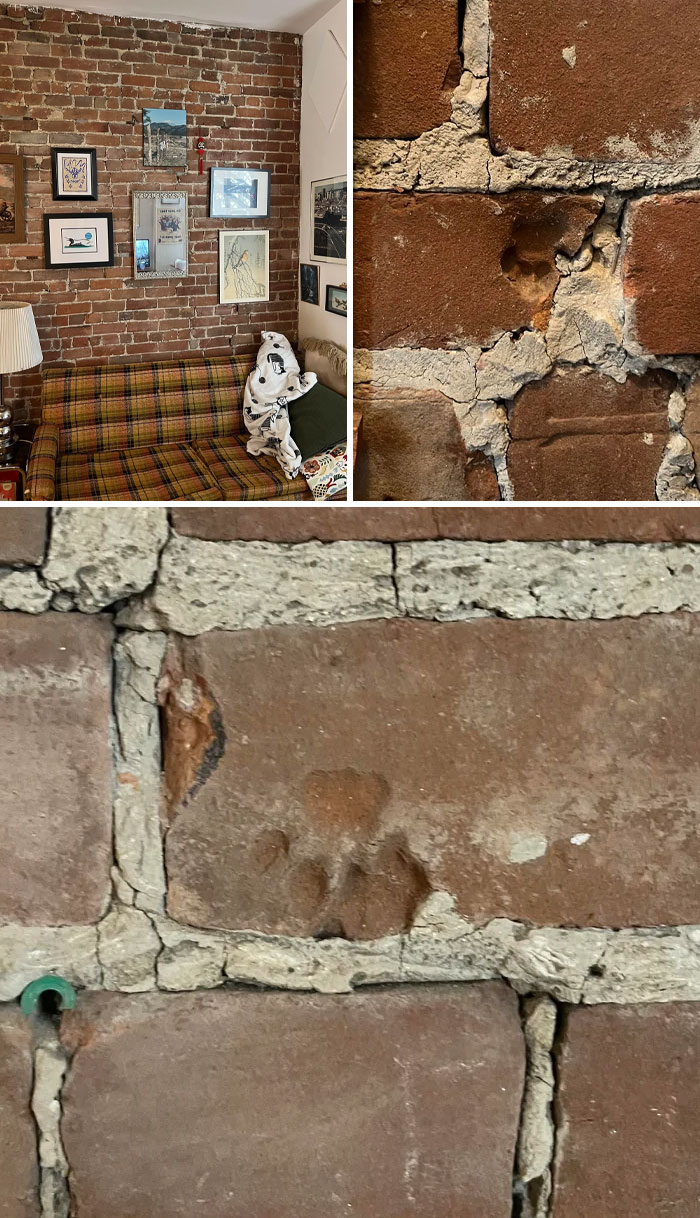 Close-up of cute cat paw prints embedded in aged brick wall, showing natural and charming feline impressions.