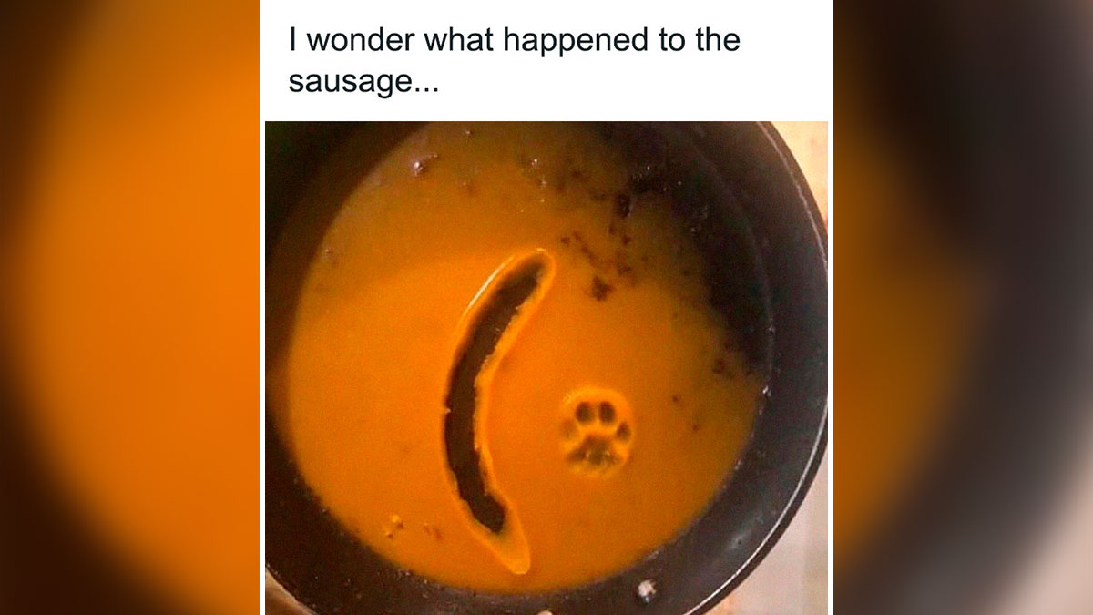 Cat paw print in orange liquid next to an empty sausage-shaped space in a cooking pan showing cute cat paw prints.