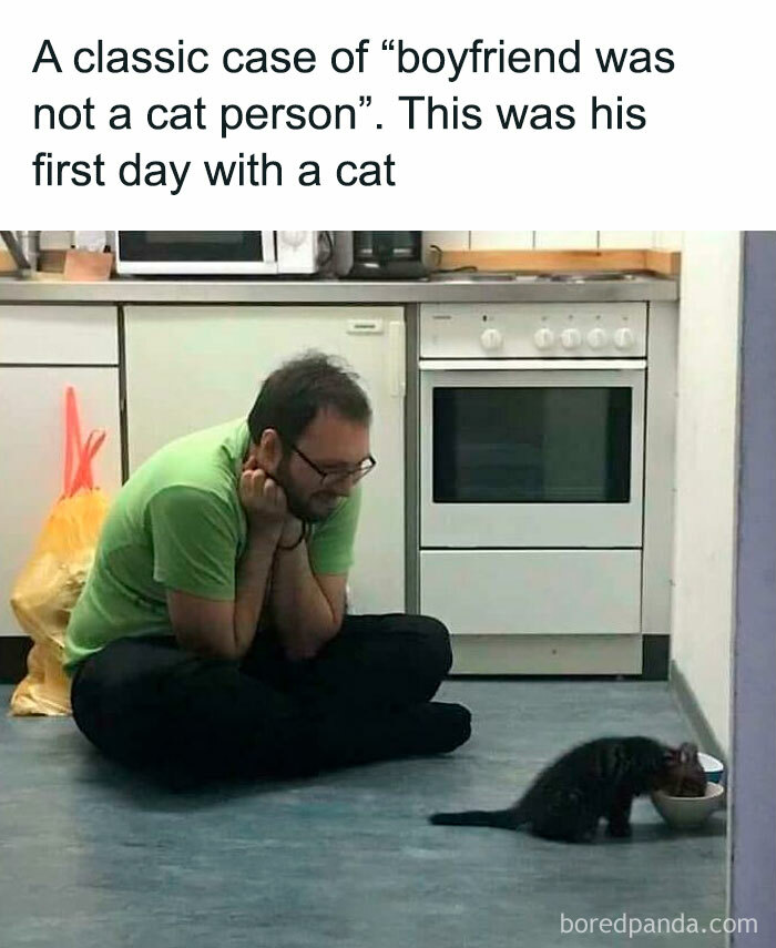 Man sitting on kitchen floor watching a kitten eat, showing dads who said no pets becoming softies with cats.