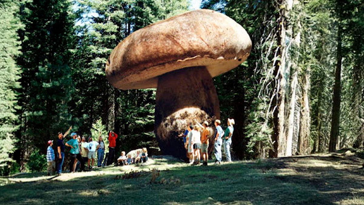 Group of people standing in forest near a giant mushroom, illustrating strange and dark facts about the world.