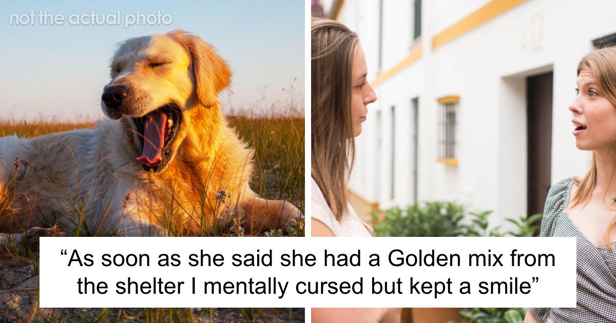 “I Mentally Cursed”: Woman Trash-Talks Dog Trainer, Doesn't Realize Who She's Talking To