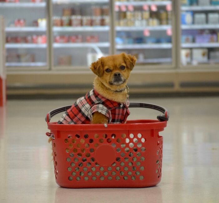 50 People Share The Shocking Fate Of Their Former Bullies