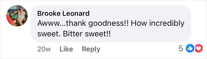 Comment from Brooke Leonard expressing gratitude and describing the boxer saving French bulldog brother’s life as incredibly sweet and heartwarming. Comment from Brooke Leonard expressing gratitude and describing the boxer saving French bulldog brother’s life as incredibly sweet and heartwarming.