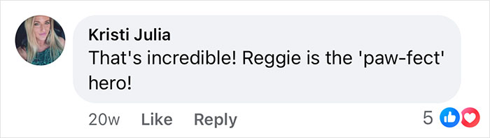 Comment praising a boxer dog as the hero for saving his French Bulldog brother, with 5 likes and love reactions. Comment praising a boxer dog as the hero for saving his French Bulldog brother, with 5 likes and love reactions.